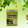 Gaharwar-Kalp-Plus-01